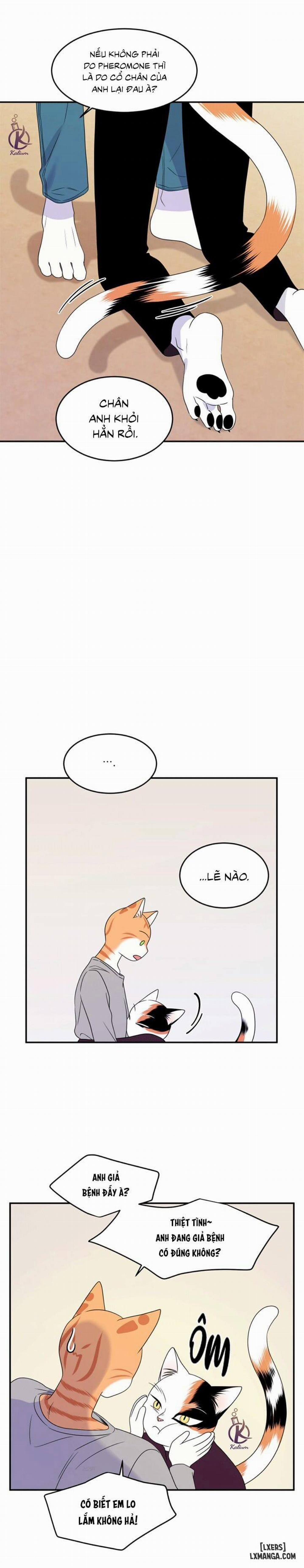 Dự án xanh 26 trang 18