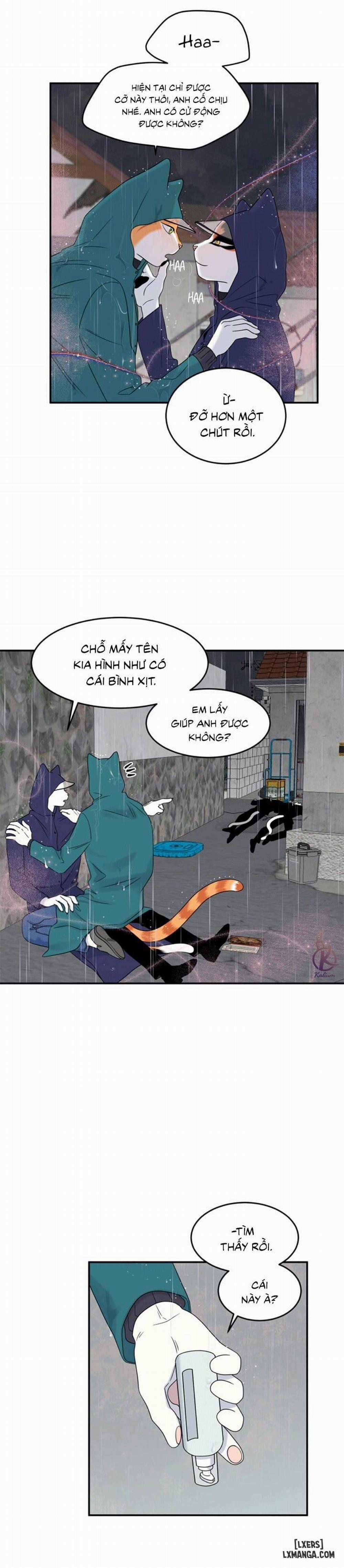 Dự án xanh 26 trang 5