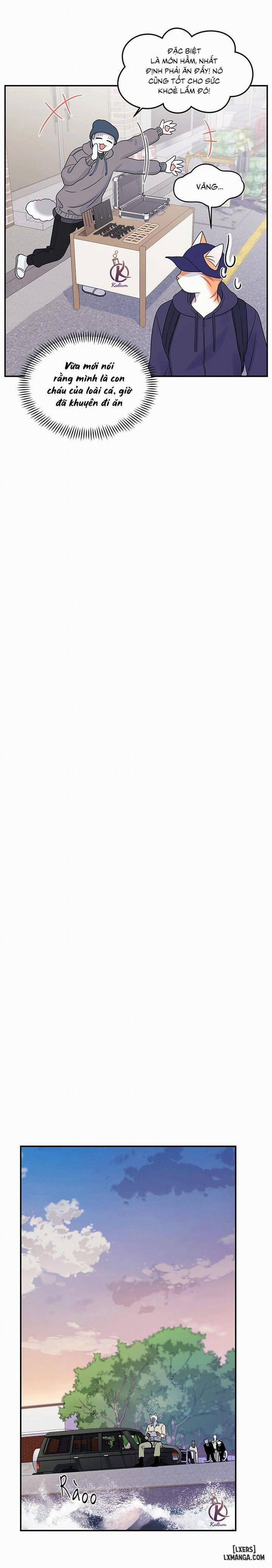 Dự án xanh 27 trang 16