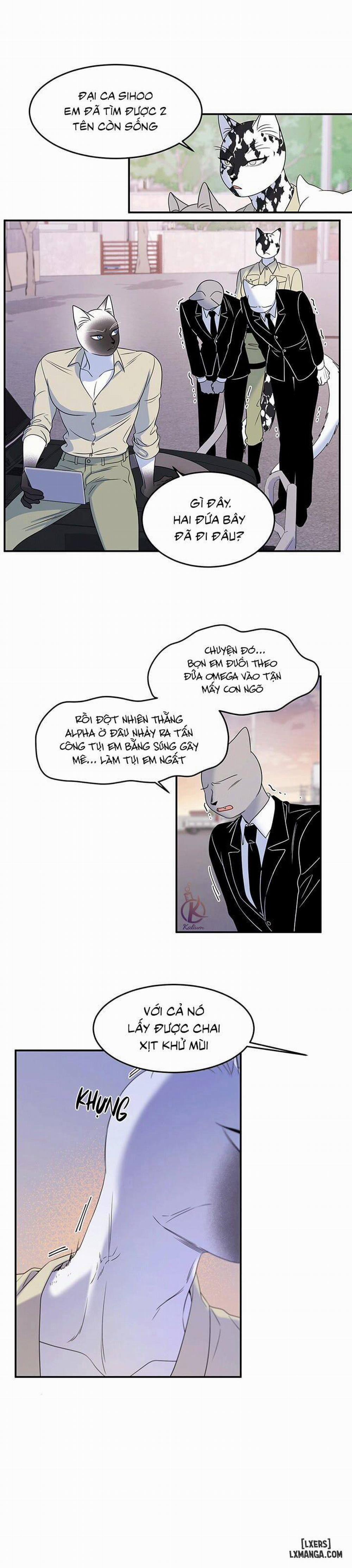 Dự án xanh 27 trang 17