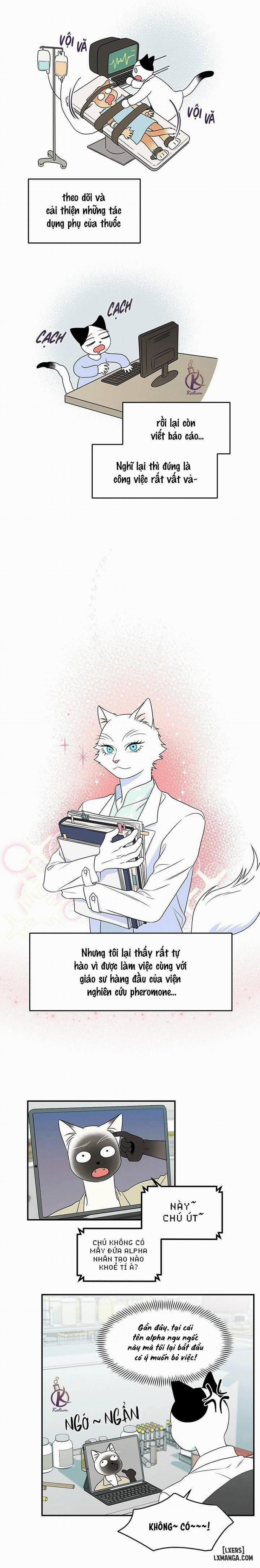 Dự án xanh 28 trang 1