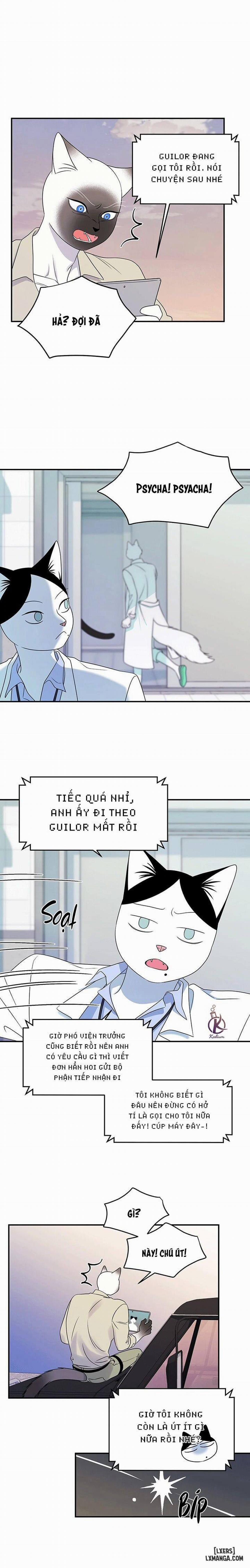 Dự án xanh 28 trang 7