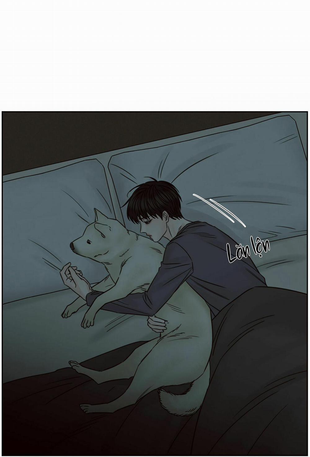 Dù Anh Không Yêu Em 62 trang 9