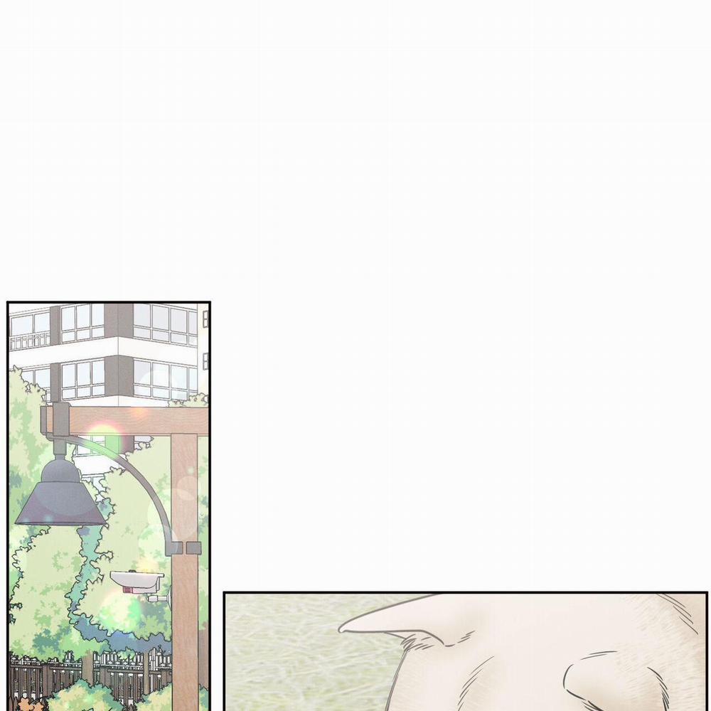 Dù Anh Không Yêu Em 72 trang 97