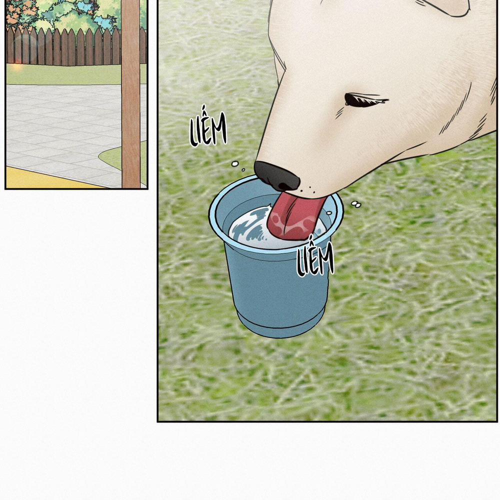 Dù Anh Không Yêu Em 72 trang 98