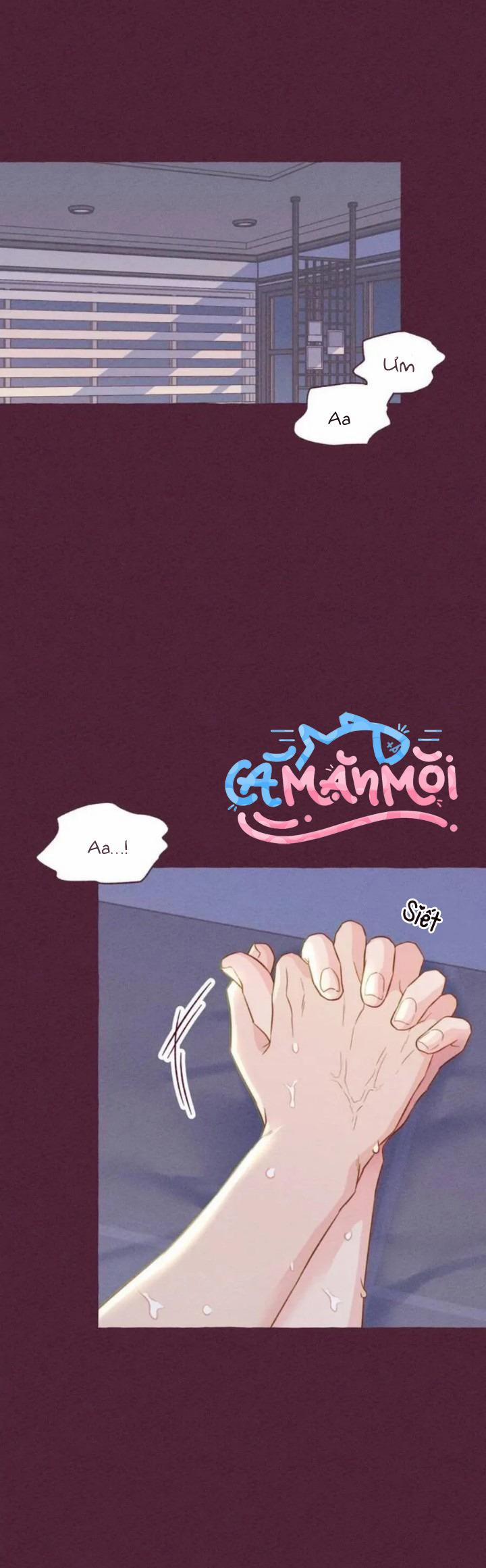 Dự Báo Thời Tiết Ngày Mai Sẽ Nắng 1 trang 0