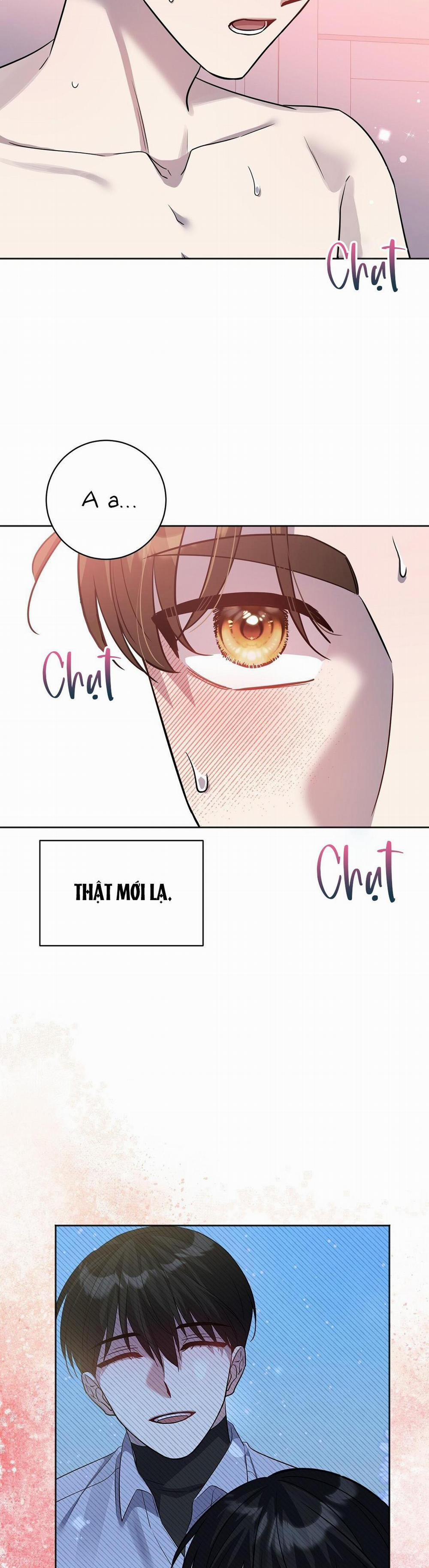 Dù Có Làm Đến Chết Cũng Được! 3 trang 6