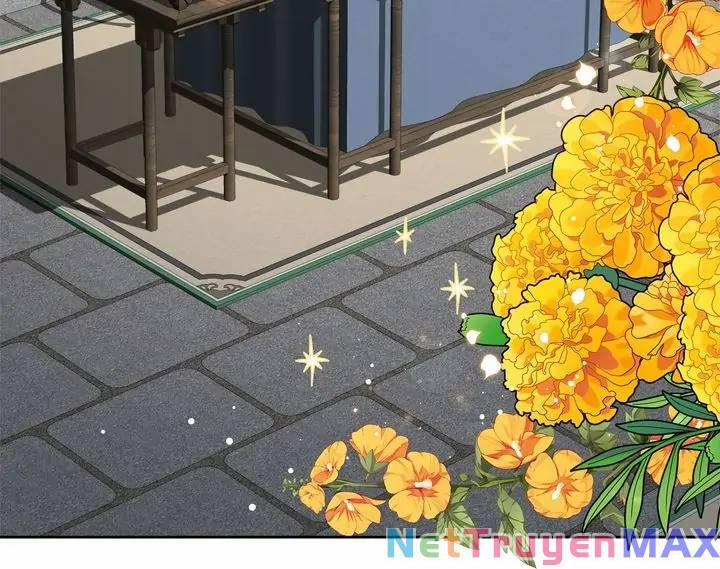 Du Khách Vào Ban Đêm Bí Ẩn 10 trang 11