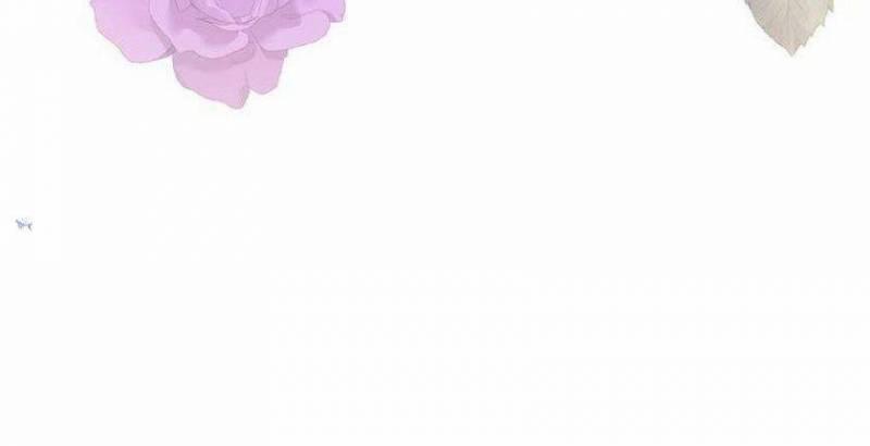 Du Khách Vào Ban Đêm Bí Ẩn 17 trang 29