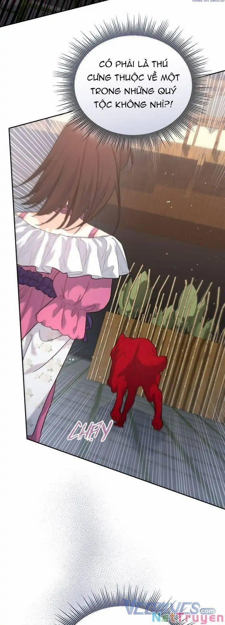 Du Khách Vào Ban Đêm Bí Ẩn 7 trang 25