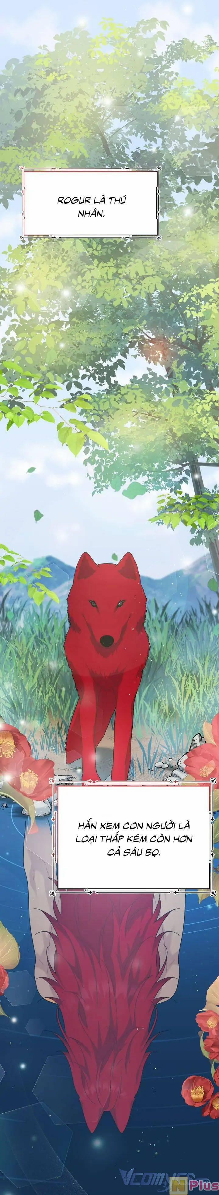 Du Khách Vào Ban Đêm Bí Ẩn 8 trang 1