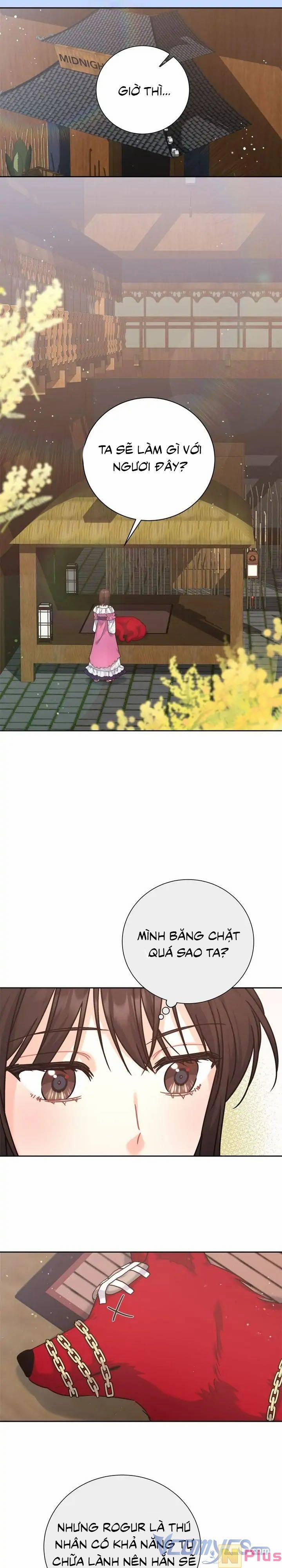 Du Khách Vào Ban Đêm Bí Ẩn 8 trang 11