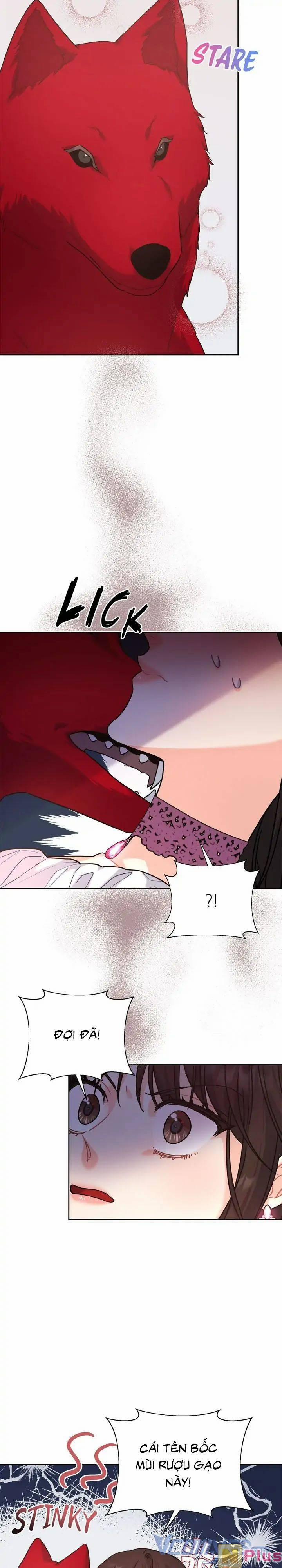 Du Khách Vào Ban Đêm Bí Ẩn 8 trang 4