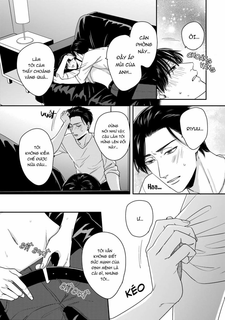 Dù Không Là Định Mệnh 2 trang 13