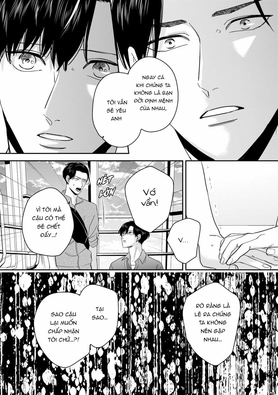 Dù Không Là Định Mệnh 5 trang 15