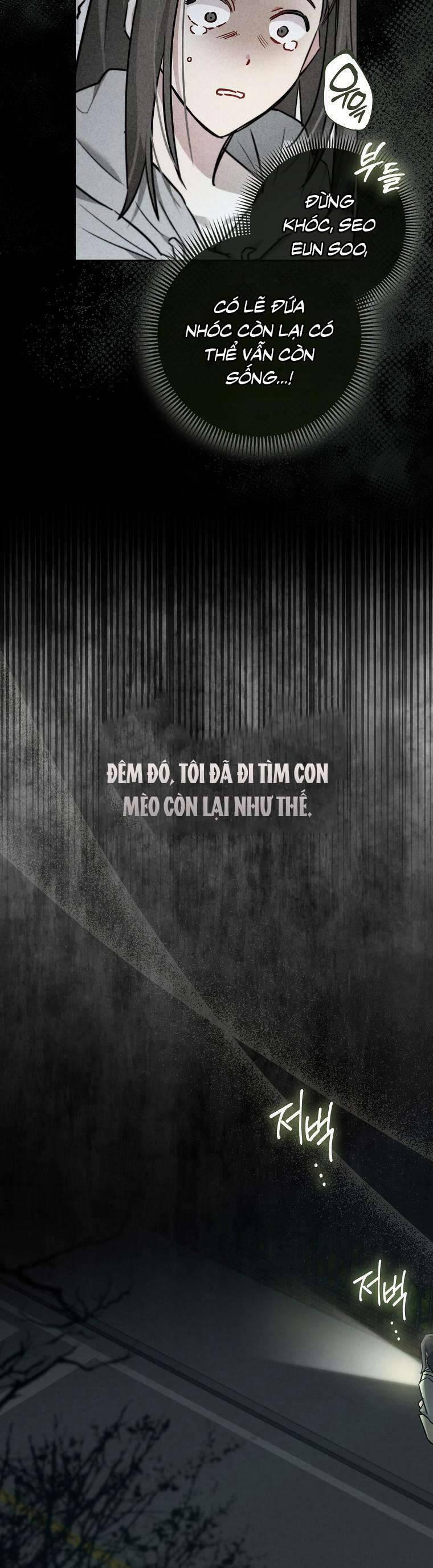 Dù Là Ác Nữ Nhưng Tôi Vẫn Phải Chăm Sóc Mèo 1 trang 12