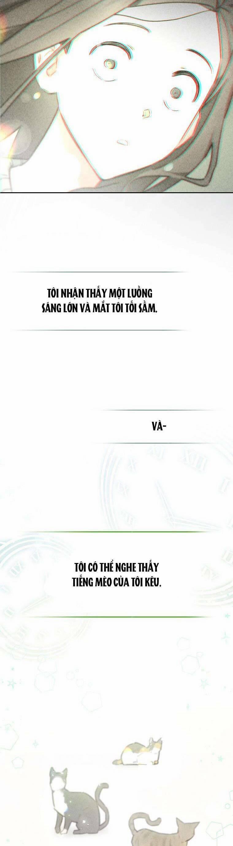 Dù Là Ác Nữ Nhưng Tôi Vẫn Phải Chăm Sóc Mèo 1 trang 15