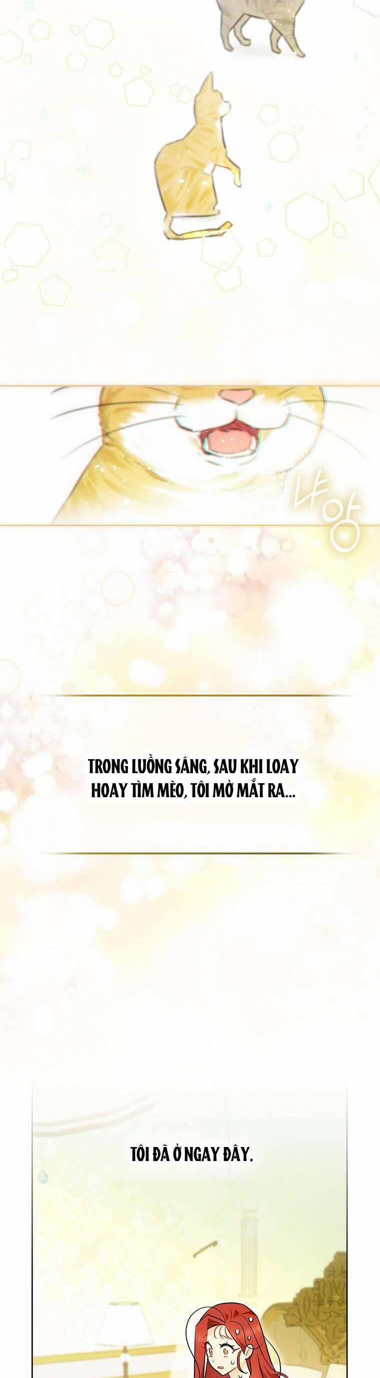 Dù Là Ác Nữ Nhưng Tôi Vẫn Phải Chăm Sóc Mèo 1 trang 16