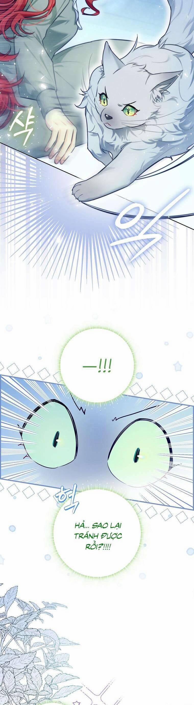 Dù Là Ác Nữ Nhưng Tôi Vẫn Phải Chăm Sóc Mèo 13 trang 1