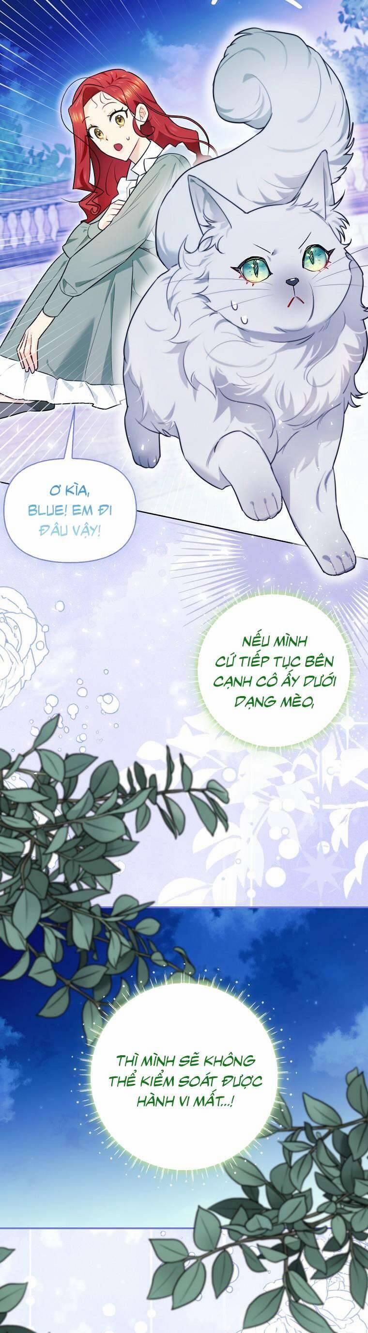Dù Là Ác Nữ Nhưng Tôi Vẫn Phải Chăm Sóc Mèo 13 trang 12
