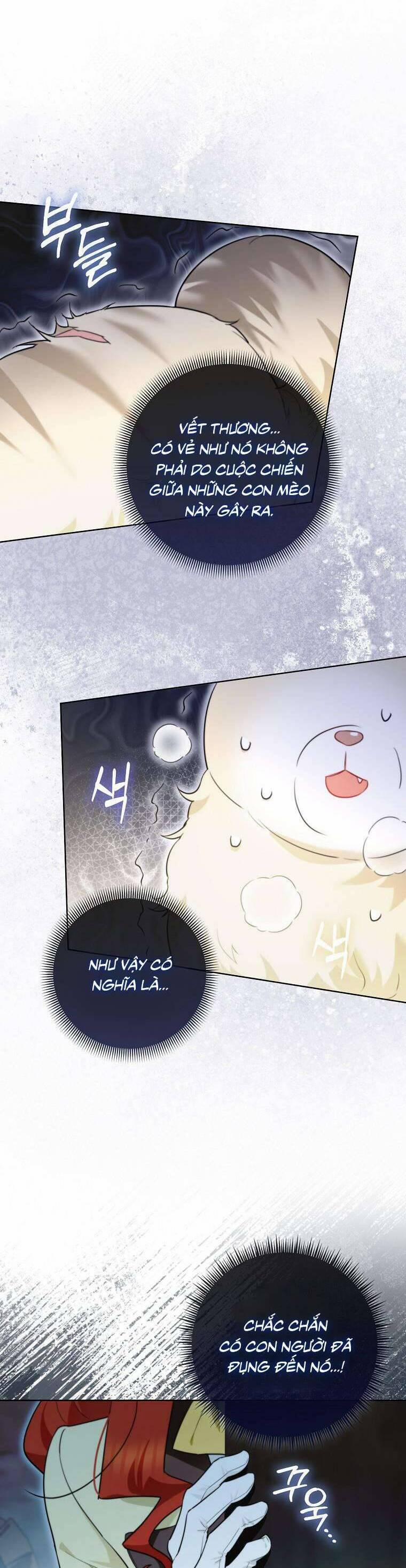 Dù Là Ác Nữ Nhưng Tôi Vẫn Phải Chăm Sóc Mèo 13 trang 19