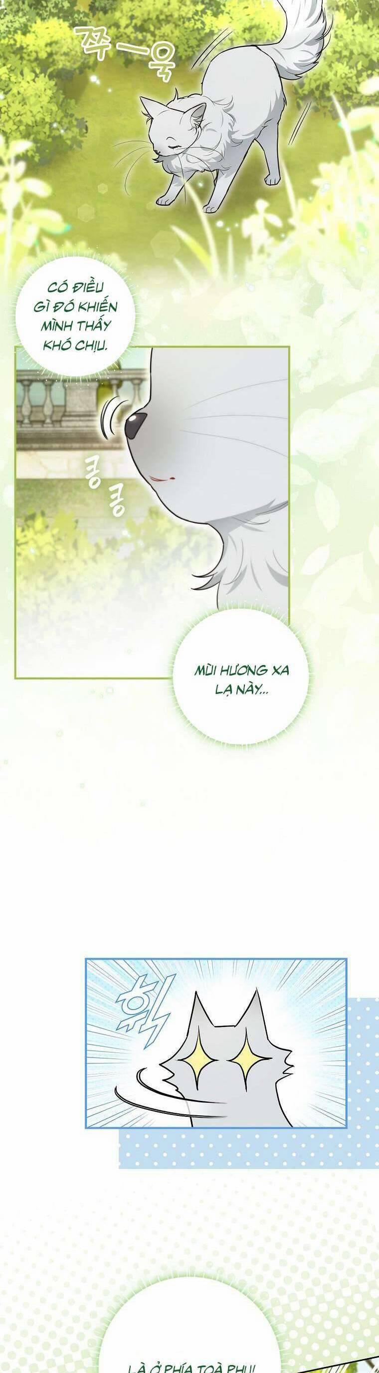 Dù Là Ác Nữ Nhưng Tôi Vẫn Phải Chăm Sóc Mèo 13 trang 37