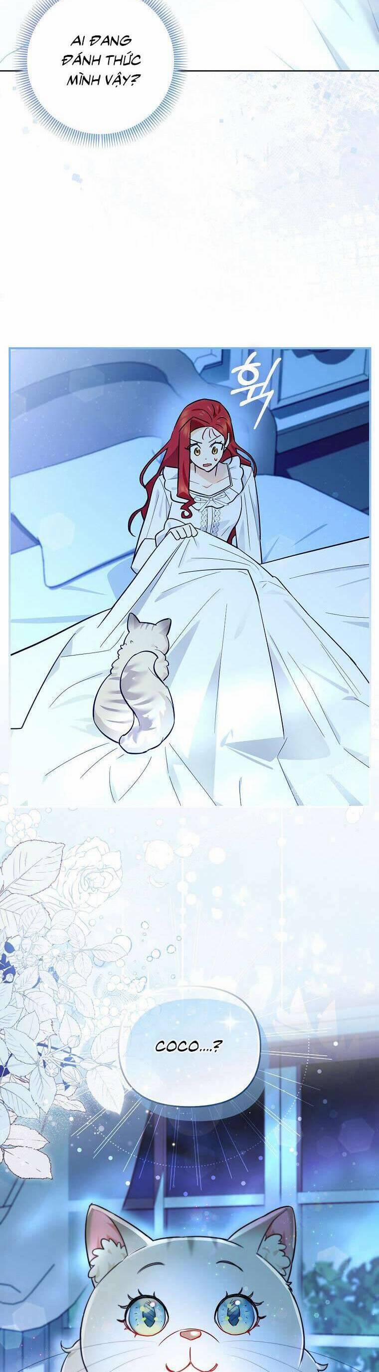 Dù Là Ác Nữ Nhưng Tôi Vẫn Phải Chăm Sóc Mèo 14 trang 20