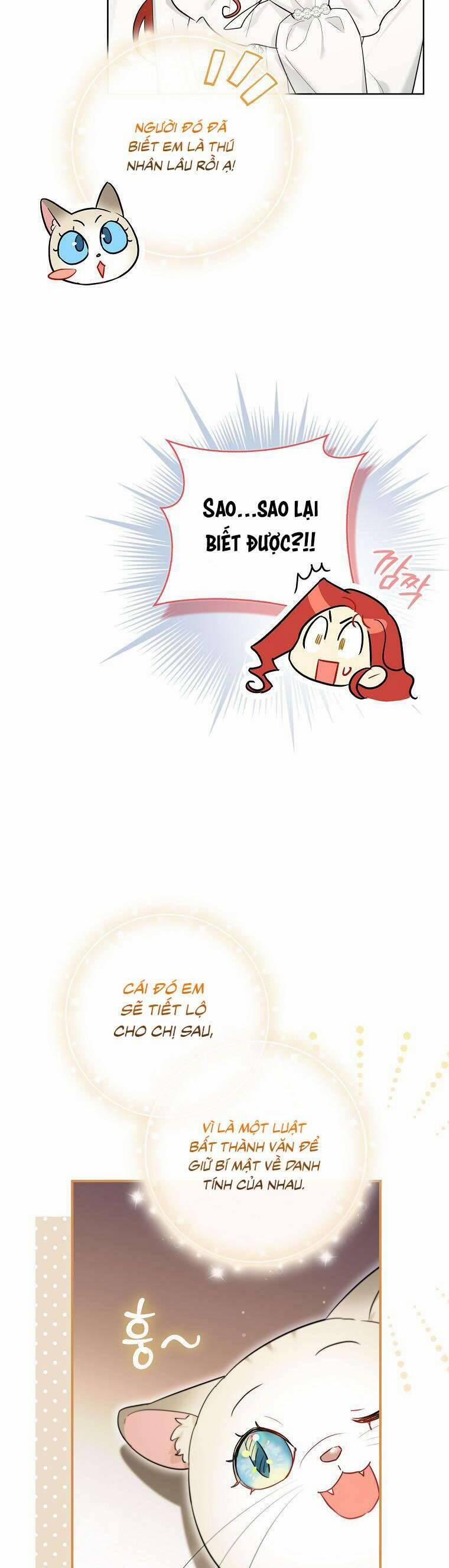 Dù Là Ác Nữ Nhưng Tôi Vẫn Phải Chăm Sóc Mèo 14 trang 40