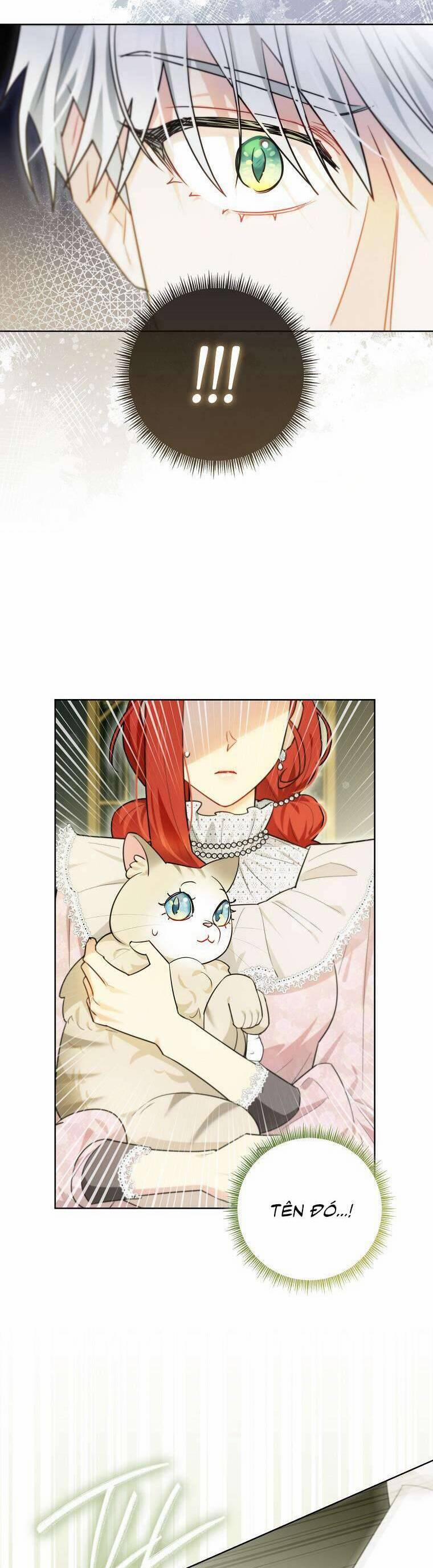 Dù Là Ác Nữ Nhưng Tôi Vẫn Phải Chăm Sóc Mèo 15 trang 1