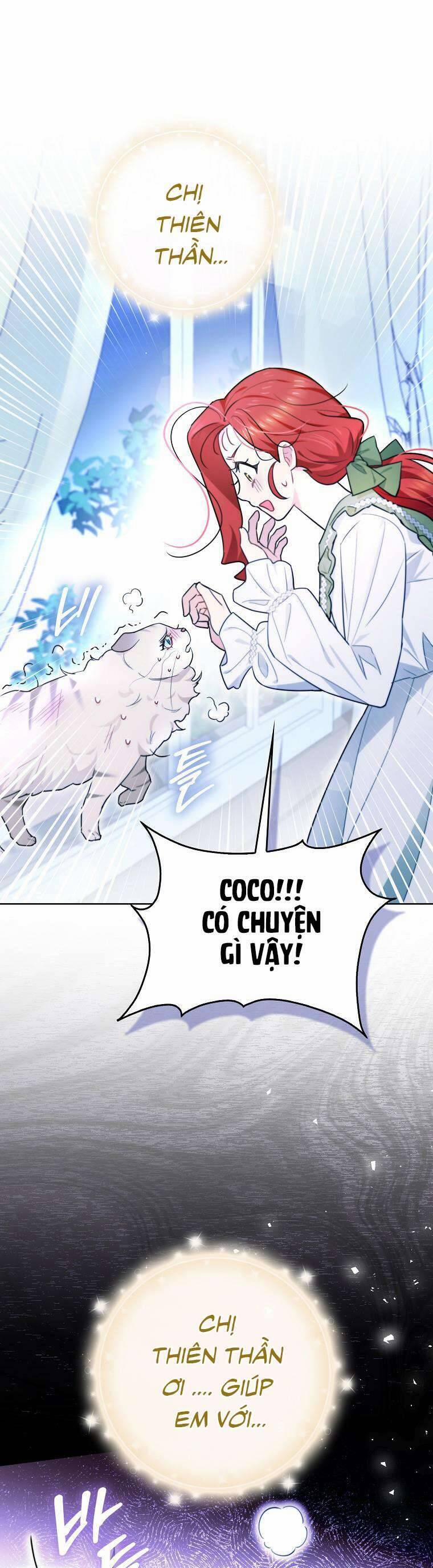 Dù Là Ác Nữ Nhưng Tôi Vẫn Phải Chăm Sóc Mèo 16 trang 0