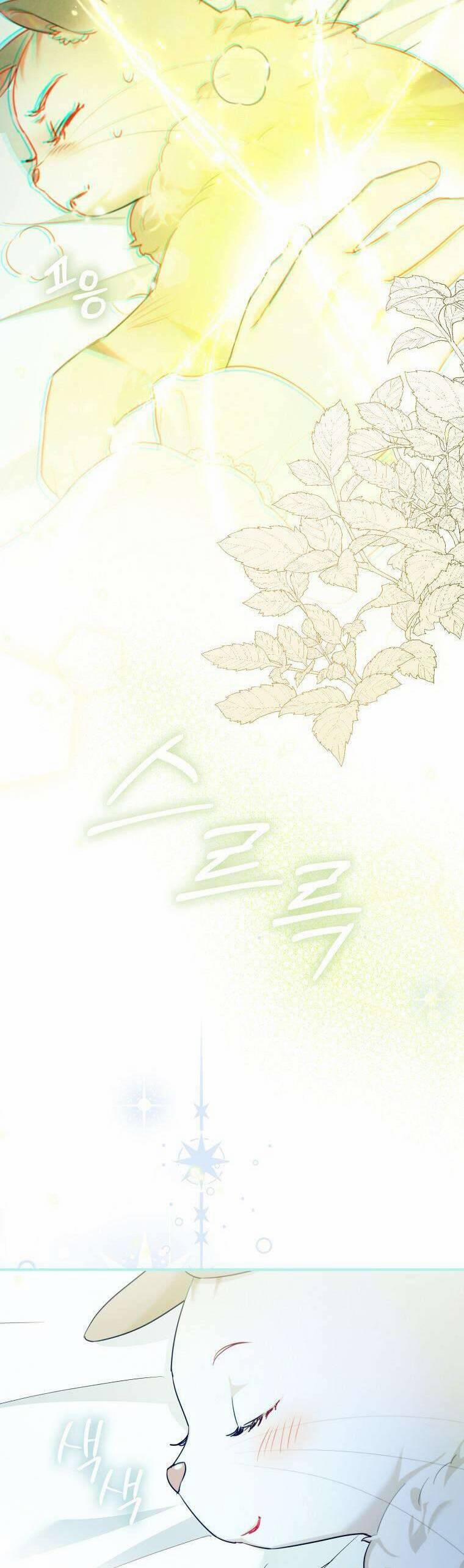 Dù Là Ác Nữ Nhưng Tôi Vẫn Phải Chăm Sóc Mèo 16 trang 8