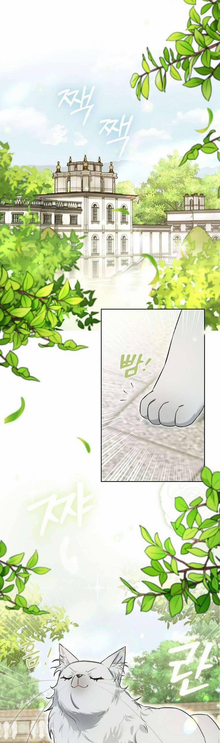 Dù Là Ác Nữ Nhưng Tôi Vẫn Phải Chăm Sóc Mèo 17 trang 14