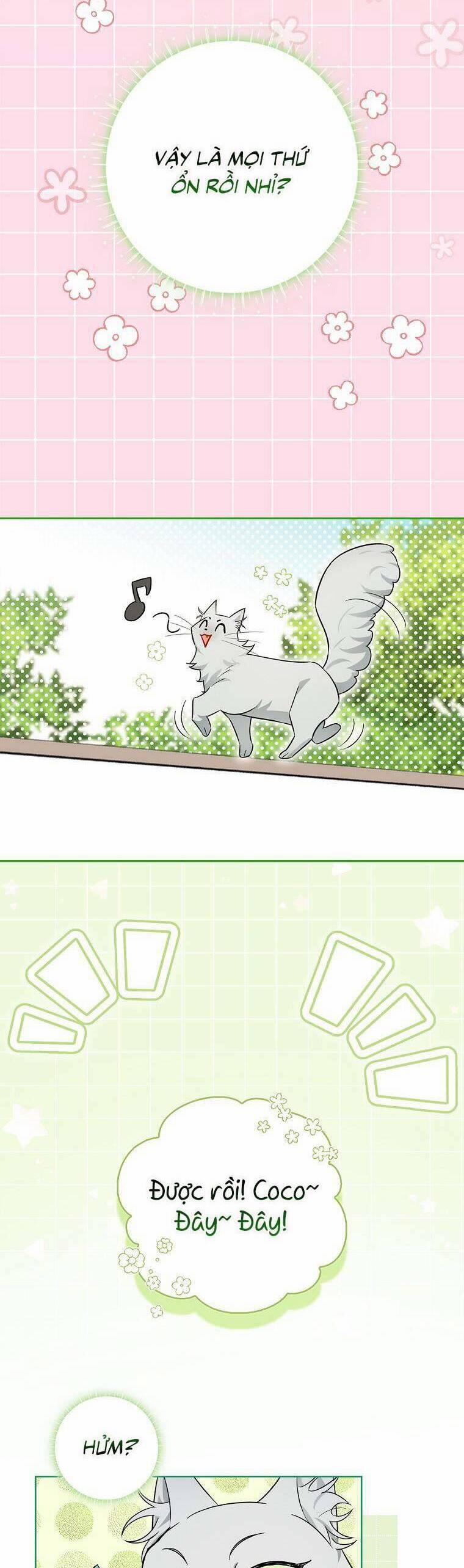 Dù Là Ác Nữ Nhưng Tôi Vẫn Phải Chăm Sóc Mèo 17 trang 17