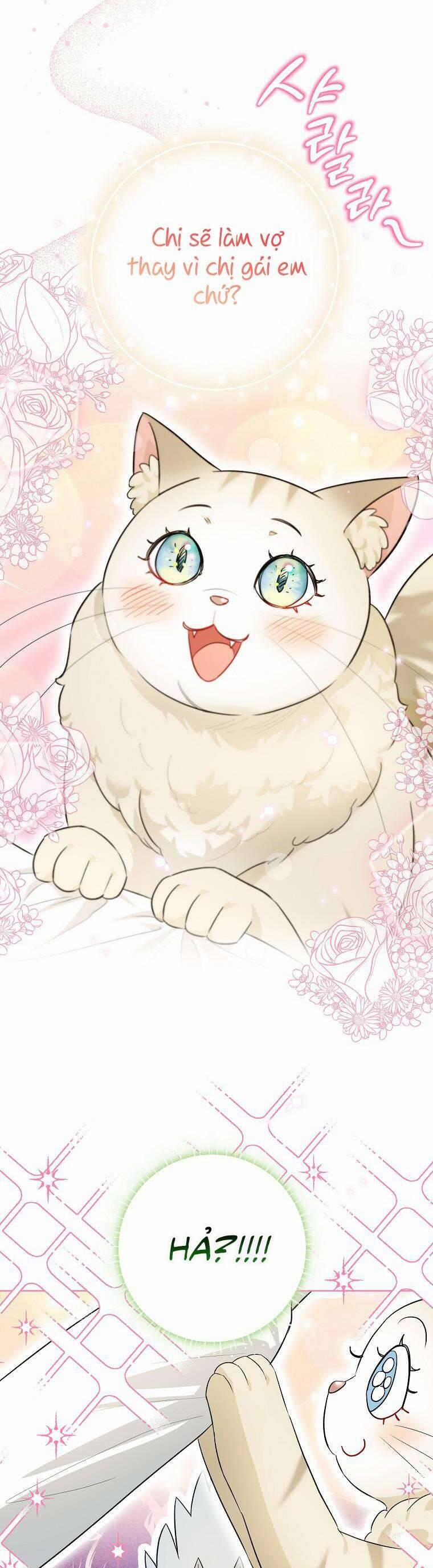 Dù Là Ác Nữ Nhưng Tôi Vẫn Phải Chăm Sóc Mèo 17 trang 29