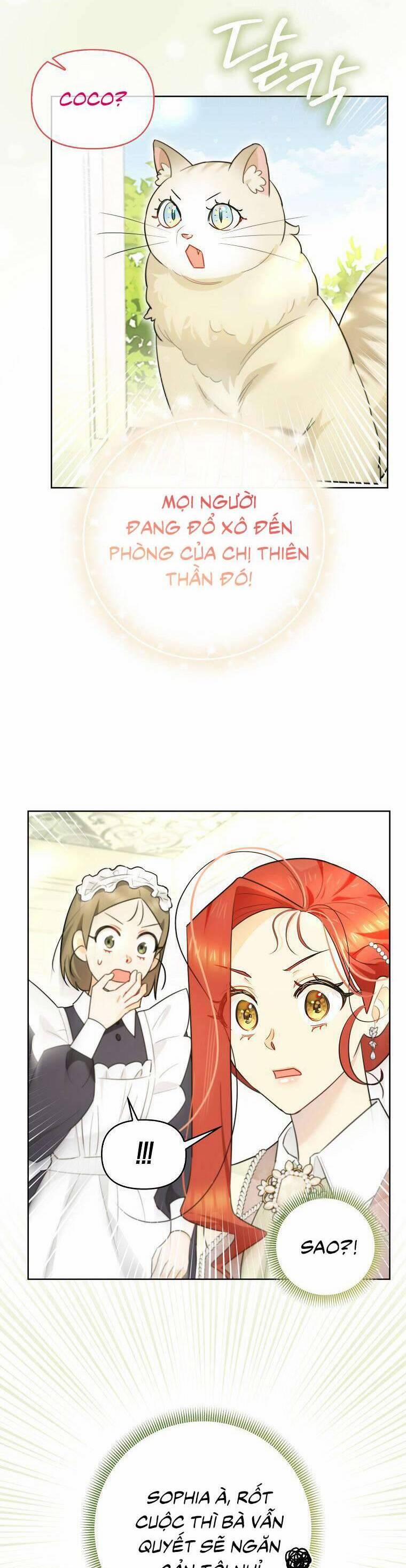 Dù Là Ác Nữ Nhưng Tôi Vẫn Phải Chăm Sóc Mèo 18 trang 17