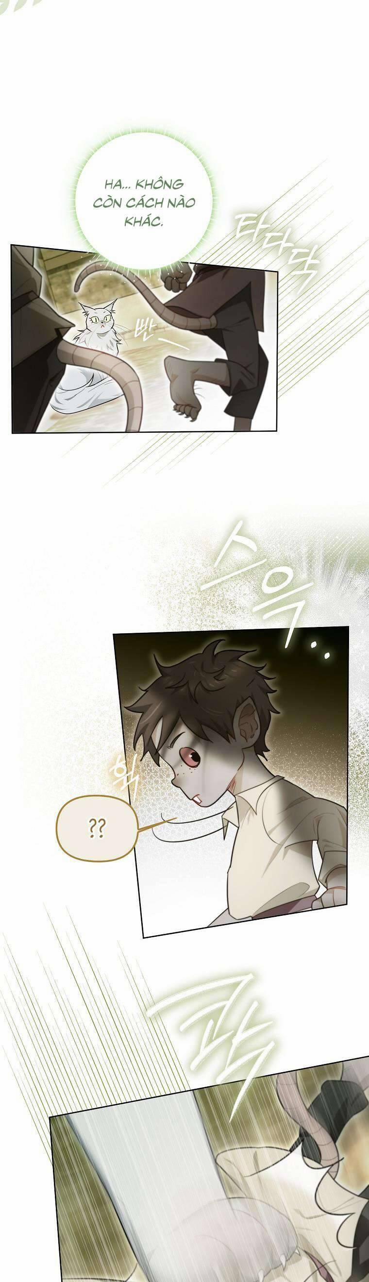 Dù Là Ác Nữ Nhưng Tôi Vẫn Phải Chăm Sóc Mèo 19 trang 41