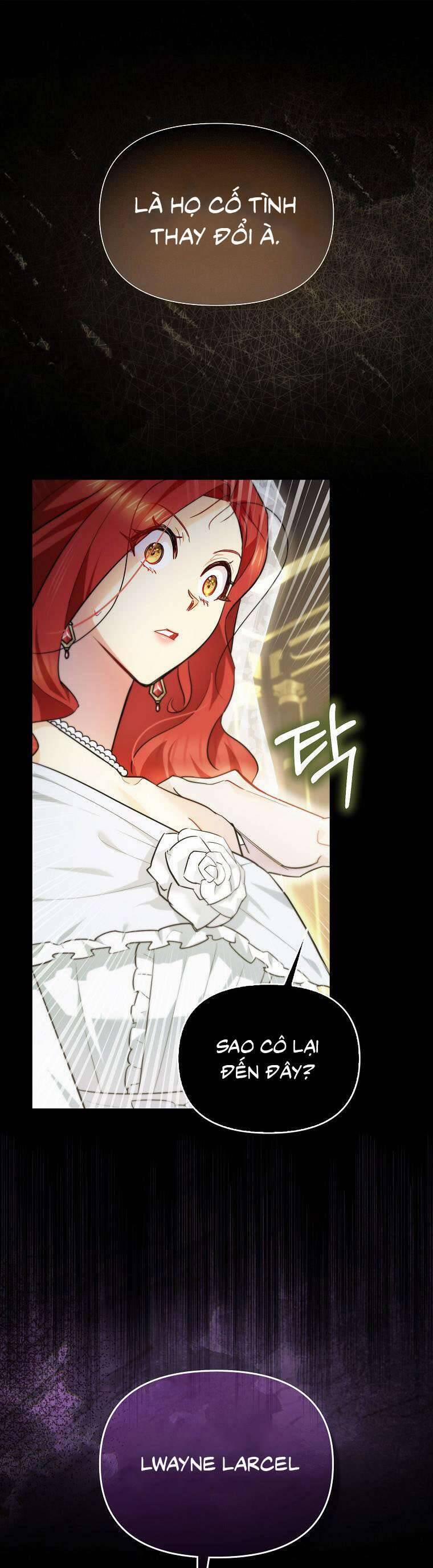 Dù Là Ác Nữ Nhưng Tôi Vẫn Phải Chăm Sóc Mèo 2 trang 0