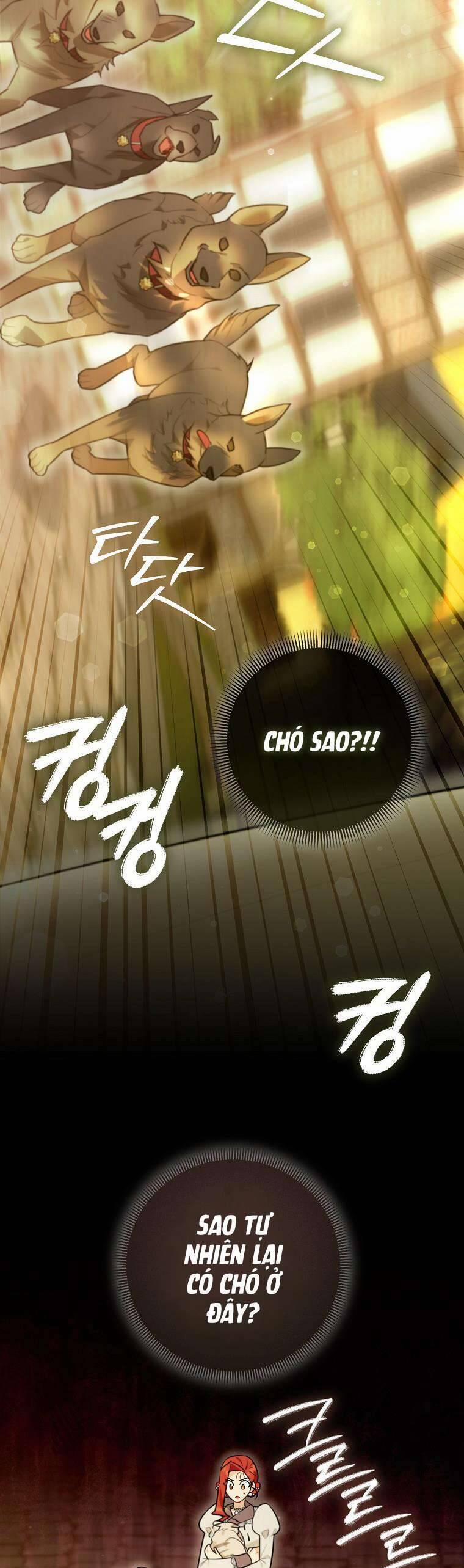 Dù Là Ác Nữ Nhưng Tôi Vẫn Phải Chăm Sóc Mèo 20 trang 25