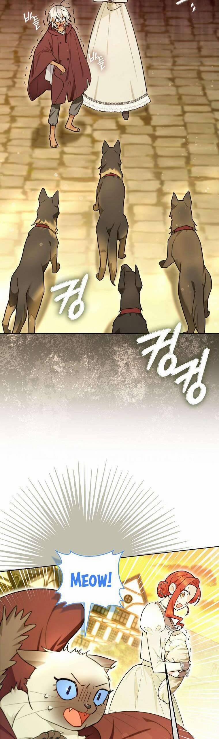 Dù Là Ác Nữ Nhưng Tôi Vẫn Phải Chăm Sóc Mèo 20 trang 26