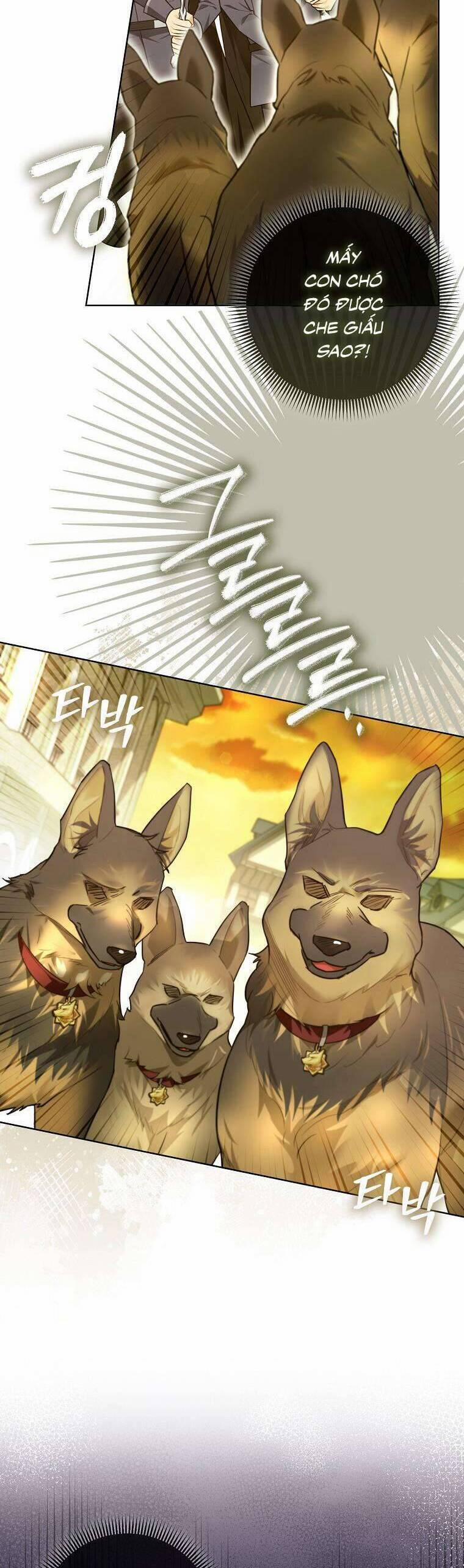 Dù Là Ác Nữ Nhưng Tôi Vẫn Phải Chăm Sóc Mèo 20 trang 28