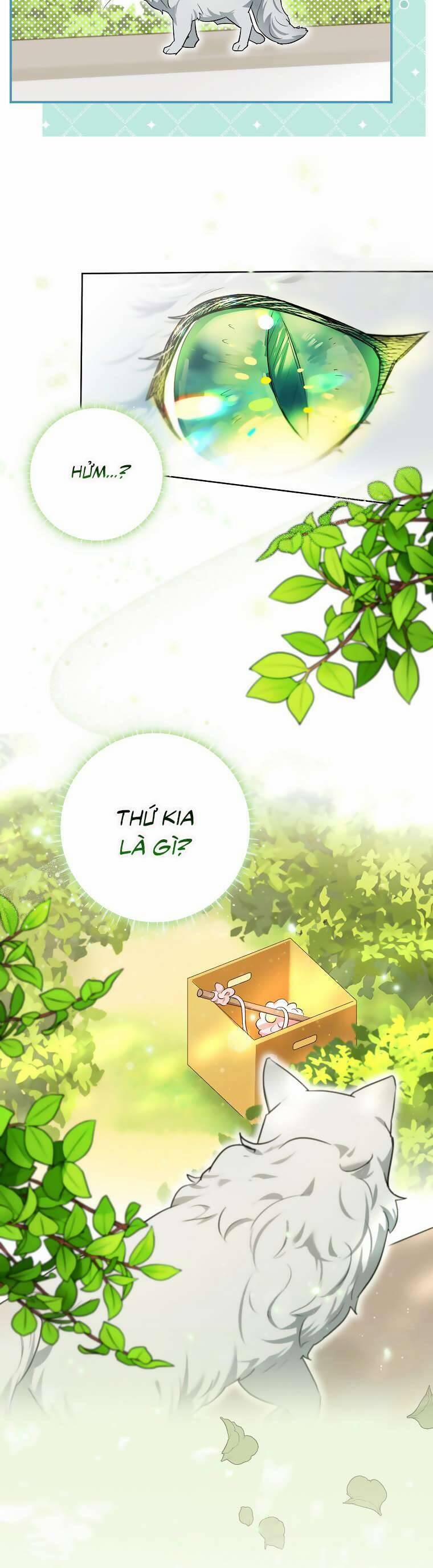 Dù Là Ác Nữ Nhưng Tôi Vẫn Phải Chăm Sóc Mèo 9 trang 18