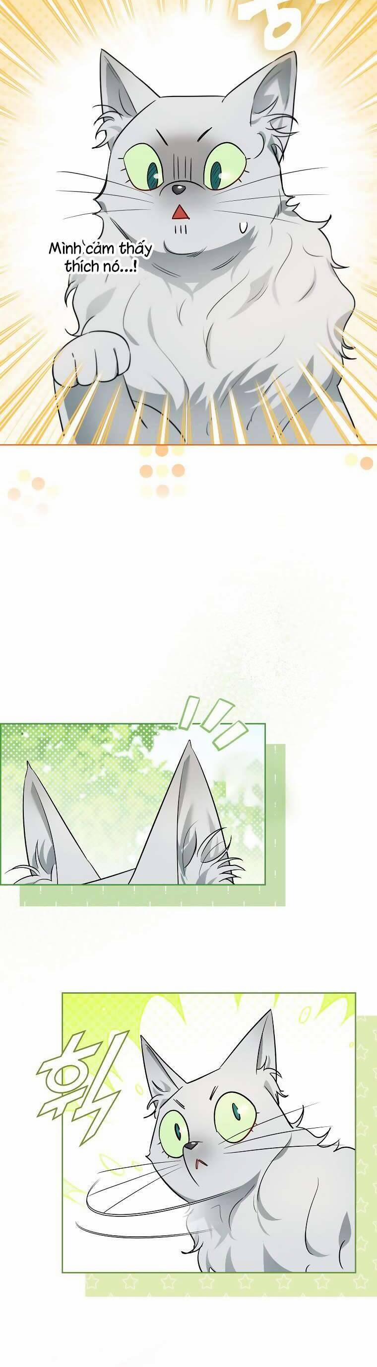 Dù Là Ác Nữ Nhưng Tôi Vẫn Phải Chăm Sóc Mèo 9 trang 22