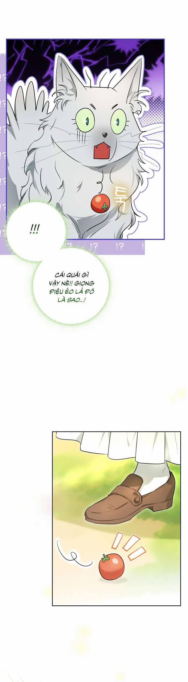 Dù Là Ác Nữ Nhưng Tôi Vẫn Phải Chăm Sóc Mèo 9 trang 6