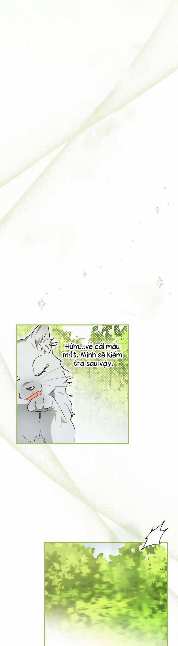 Dù Là Ác Nữ Nhưng Tôi Vẫn Phải Chăm Sóc Mèo 9 trang 9