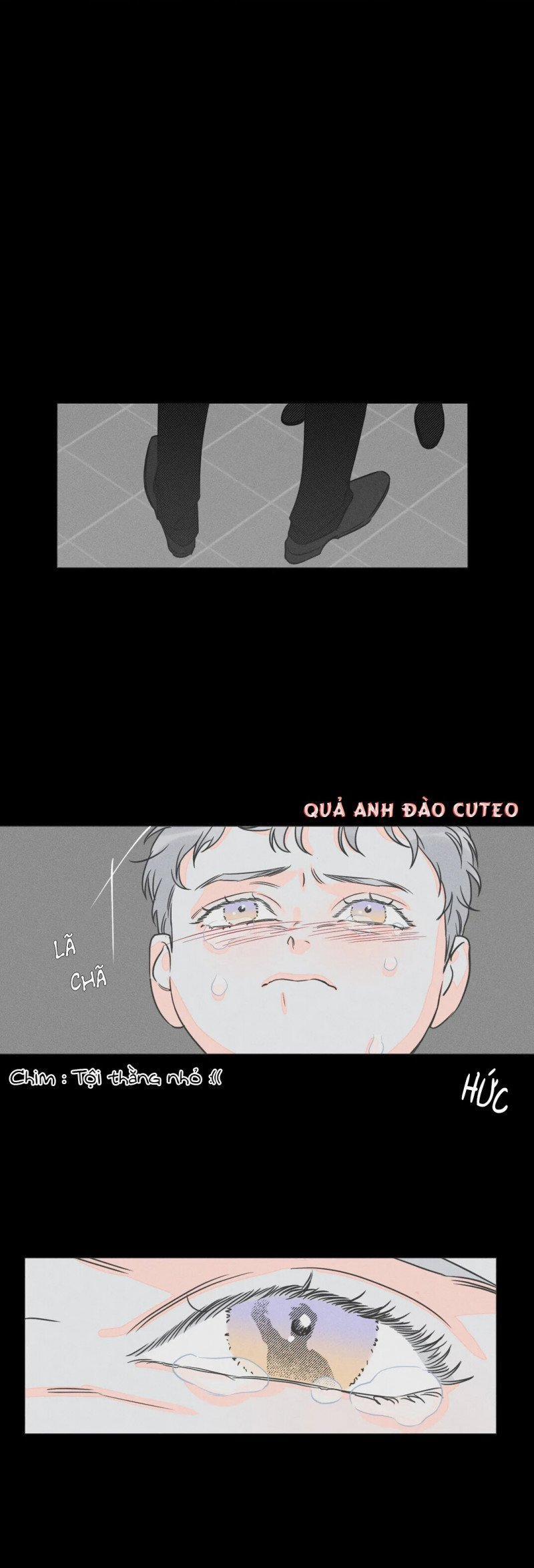 Dù Như Thế Vẫn Thích Sao 10 trang 23