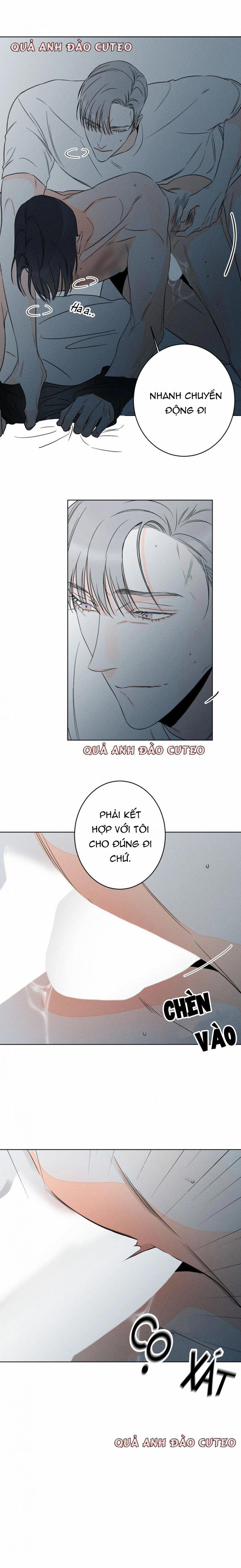 Dù Như Thế Vẫn Thích Sao 17 trang 11