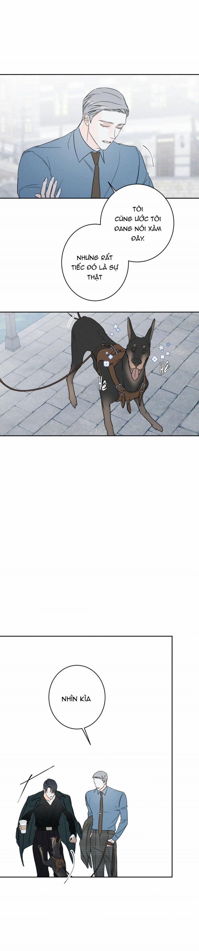 Dù Như Thế Vẫn Thích Sao 36 trang 13