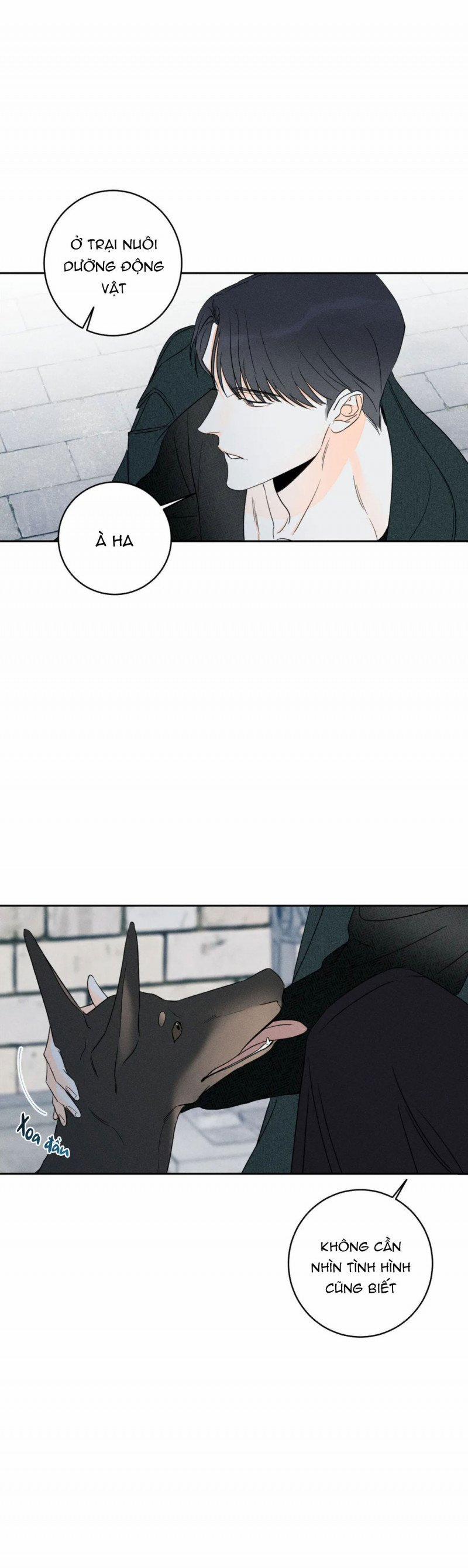 Dù Như Thế Vẫn Thích Sao 36 trang 17