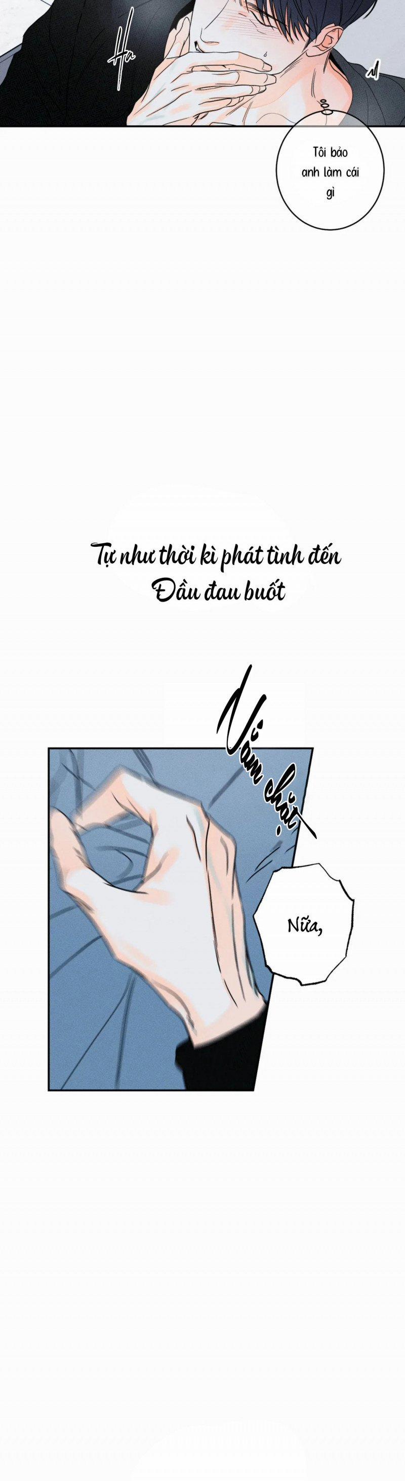 Dù Như Thế Vẫn Thích Sao 37 trang 10