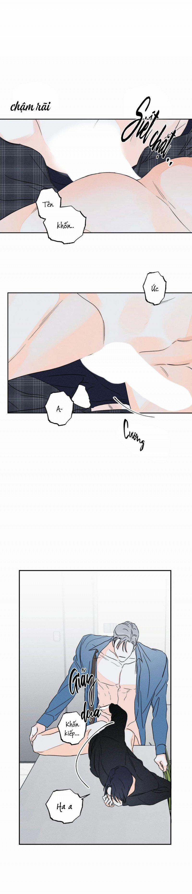 Dù Như Thế Vẫn Thích Sao 37 trang 16